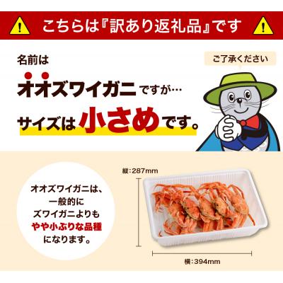 ふるさと納税 えりも町 えりも【マルデン特製】訳ありオオズワイガニセット2kg【er002-052-a】 |  | 01