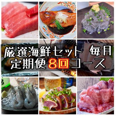 ふるさと納税 小田原市 【毎月定期便】特選!海鮮セット!日本酒、焼酎のアテにピッタリ!【神奈川県小田原市早川】全8回