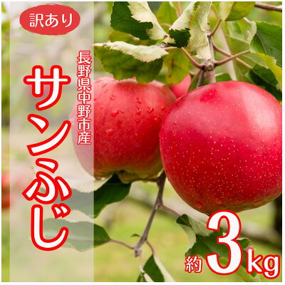 【ふるさと納税】【訳あり】産地直送　信州りんご(サンふじ)3kg (ご家庭用)【1760563】