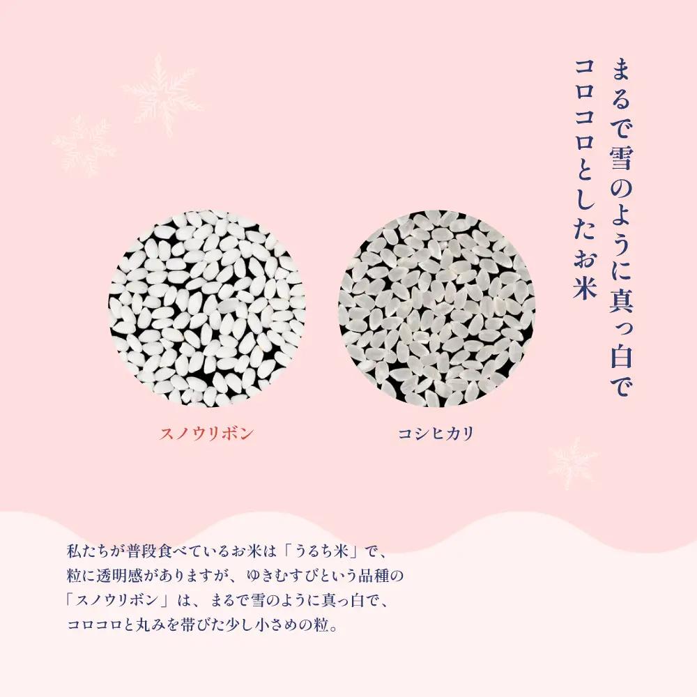 【2025年産米】スノウリボン（ゆきむすび）5kg×1袋【13-53】