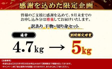 【順次発送】訳あり 干物・切身 セット 4.7kg以上 規格外 傷 不揃い