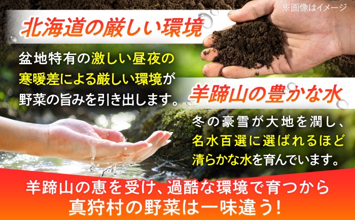 【8月下旬以降順次発送】 白と黄色のとうもろこし 各5kg