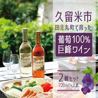 ふるさと納税 久留米市 久留米市田主丸町で育った葡萄100% 巨峰ワイン2種セット(720ml×2本) |  | 01