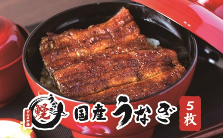 国産うなぎ 関西風蒲焼 大サイズ５枚(合計約750g)薬味付【串本グルメ市場】【miw107】