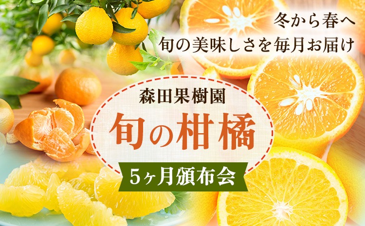 柑橘 柑橘定期便  森田果樹園 《12月上旬-4月末頃出荷》 熊本県 氷川町 柑橘 定期便 みかん スイートスプリング 晩白柚 不知火 八朔 果物 フルーツ 熊本県産---hkw_26_mtk_1_mo5---