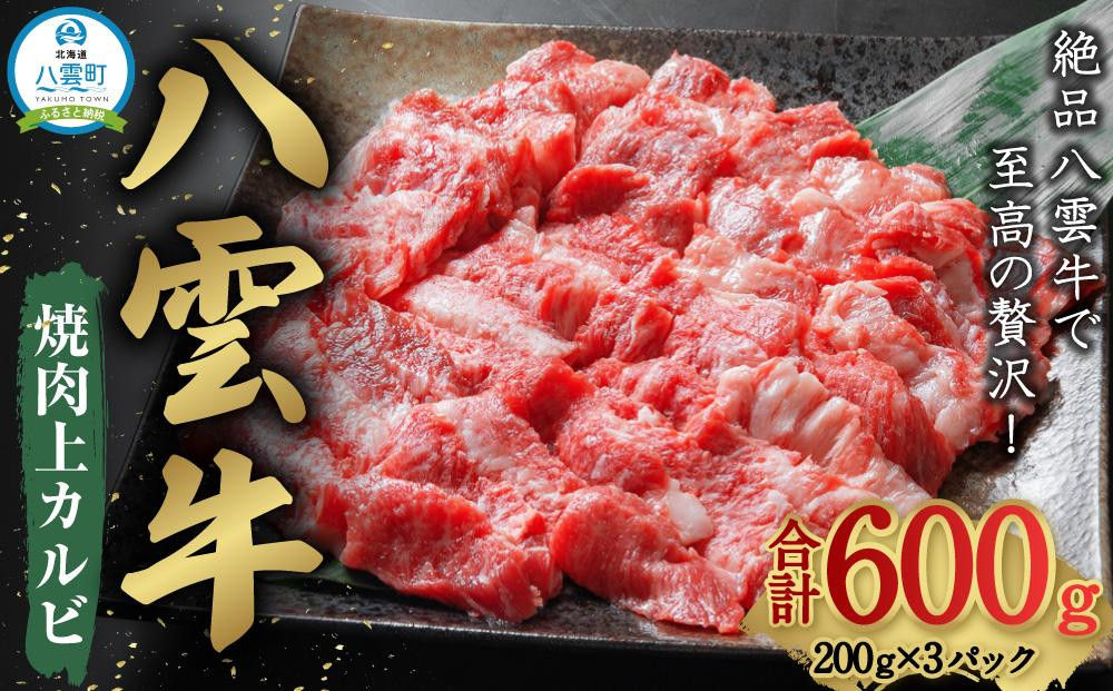 
八雲牛 焼肉上カルビ 総重量600g (200g×3パック) 【 肉 お肉 にく 牛 牛肉 上カルビ 焼き肉 焼肉 600g 200g×3パック 食品 グルメ お取り寄せ お取り寄せグルメ 人気 おすすめ 送料無料 八雲町 北海道 年内発送 年内配送 】
