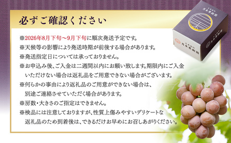 【訳あり】 《種なし》 岡山県産 クイーンニーナ 約2kg（5～7房）【2026年8月下旬-9月下旬発送予定】 ／ ぶどう ブドウ 葡萄 大粒 種なし 種無し フルーツ 果物 くだもの 果実