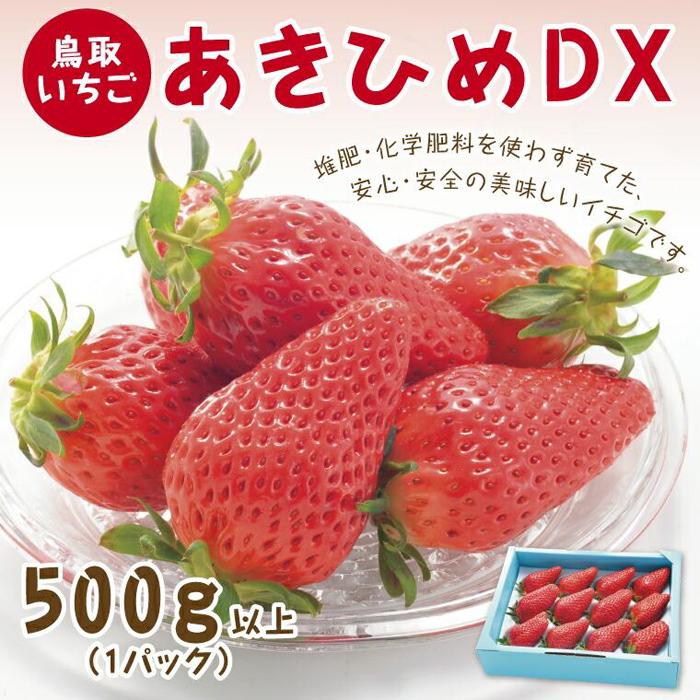 【ふるさと納税】あきひめDX 500g 鳥取いちご【とみハウス】 | 果物 フルーツ 苺 イチゴ あきひめ 章姫 食品 人気 送料無料 期間限定 鳥取市 鳥取県
