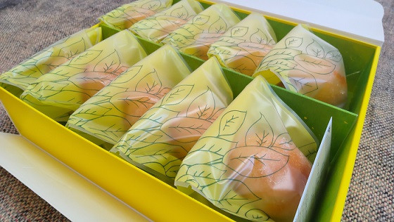 
            ケーキ工房菜の花 純朴レモンケーキ　（10個入）
          