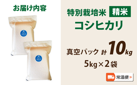 【令和7年産】南条米 特別栽培米コシヒカリ 真空パック 精米 10kg(5kg×2袋)[C-011001] 福井 もちもち