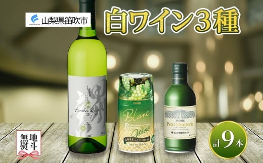 
白ワイン 瓶 缶 飲み比べ 瓶1本+缶2種8本 モンデ酒造 177-4-046
