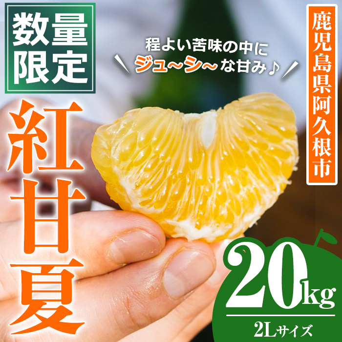 ＜先行予約受付中！2027年3月上旬以降順次発送予定＞数量限定！鹿児島県産 紅甘夏 (20kg・2L) 柑橘 フルーツ 果物 国産 みかん 期間限定 数量限定 ベニアマナツ ミカン 旬 【株式会社土曜日】akn069-11