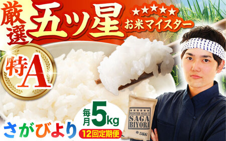 【全12回定期便】さがびより 白米 5kg  [HBL021]白米 白米 白米 白米 白米 白米 白米