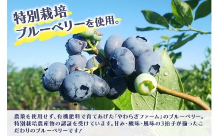 【数量限定】果汁50％ピンクブルーベリー飲料1本＆果汁50％ブルーベリー飲料1本（化粧箱入り） 9-P