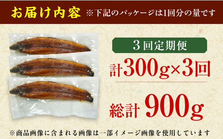 【3回定期便】【訳あり】国産鰻（100g×3尾）魚 うなぎ ウナギ 土用の丑の日 訳あり 鰻 国産 広川町 / イールファクトリー株式会社[AFBS010]