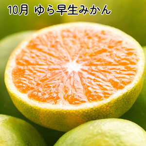 家庭用 柑橘定期便SS（10～12月）全3回【みかん定期便お試し版】 ［IKE299］