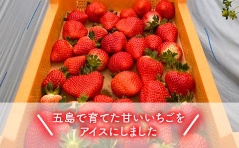 【濃厚で甘酸っぱいいちごの香りがたまらない】五島産いちごアイス 10個入 五島市/野原農園 [PCM002]