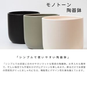 サンスベリアローレンチ （鉢色：ブラック）  モノトーン130陶器鉢 水位計つきセット インテリア 緑 グリーン 植物 簡単 初心者 かわいい 自然 おしゃれ 送料無料 Green Walk グリーン