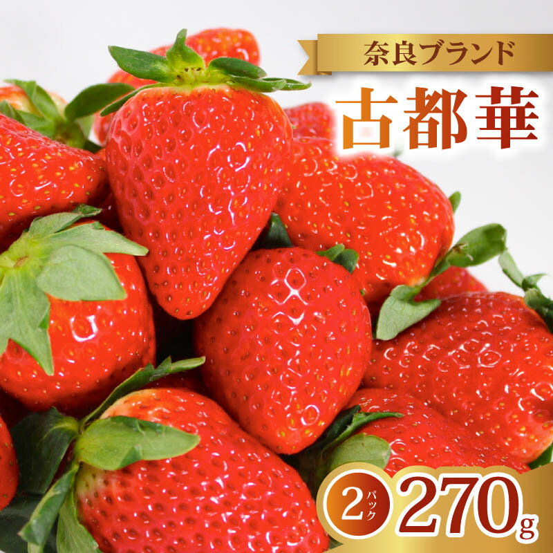【ふるさと納税】 いちご 古都華 2026年発送 (270g×2パック) 家庭用 予約受付中 数量限定 先行予約 いちご 苺 奈良ブランド苺 イチゴ ブランド 古都華 大粒 苺 旬 産地 直送 フレッシュ 新鮮 フルーツ 果物 くだもの 萩原いちご農園 奈良県 奈良市