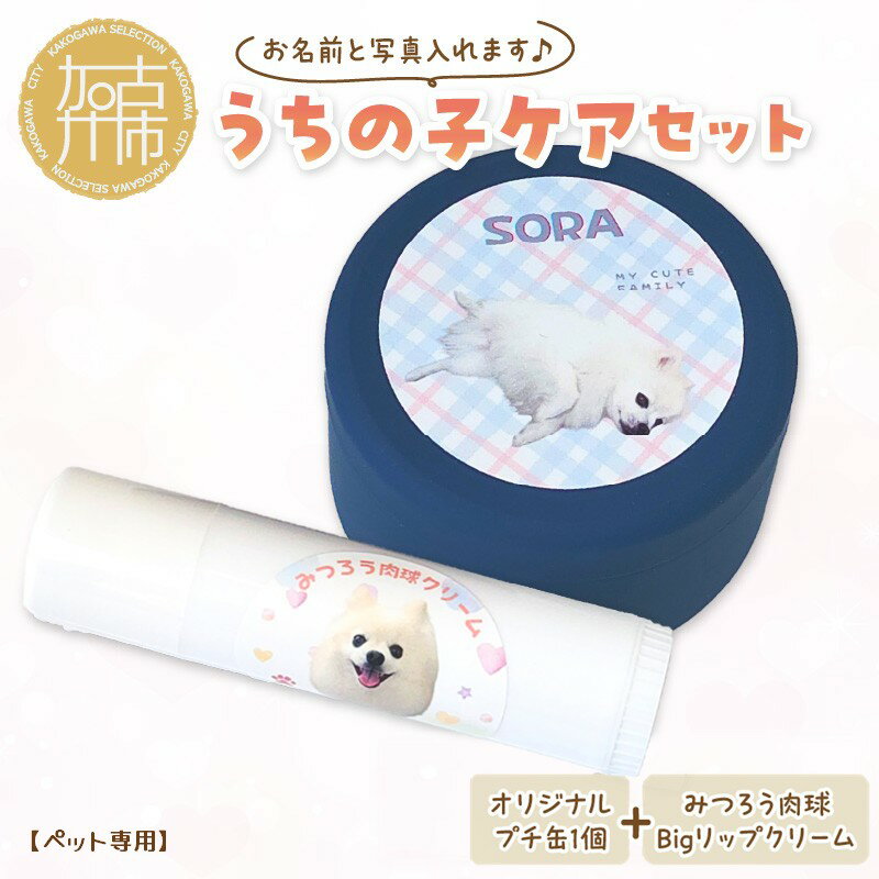 【ふるさと納税】うちの子ケアセット オリジナルプチ缶1個+うちの子専用肉球Bigリップクリームセット 《 犬 ケア みつろう リップクリーム 缶 セット 詰め合わせ オリジナル ホホバオイル 》