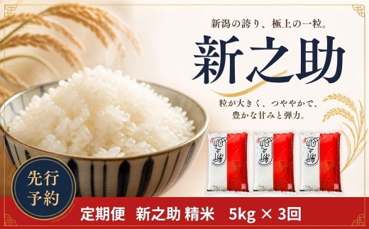 先行予約 定期便 新之助5kg × 3回 新潟県産新之助 令和8年産 しんのすけ 精米 新之助定期便 5キロ 3か月 三条市 【043S035】