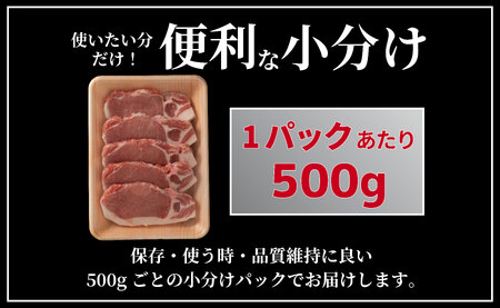 《定期便》長崎県産豚 ロースとんかつ用計1kg(100g×5枚×2) 【12回お届け】