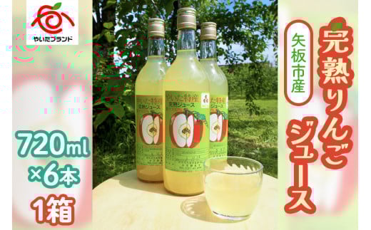 【定期便12回】 矢板市産 完熟りんごジュース《720ml×6本 1箱》｜林檎 リンゴ 果汁100% 産地直送 (毎月お届け）