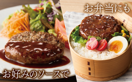 【定期便】 桜文 馬肉ハンバーグ 120ｇ×10個 全3回 【毎月配送コース】