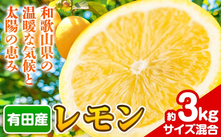 
                  有田産 レモン 約 3kg（サイズ混合） 厳選館《2026年10月中旬-2027年4月末頃出荷》和歌山県 日高川町 果物 フルーツ レモン 柑橘
                