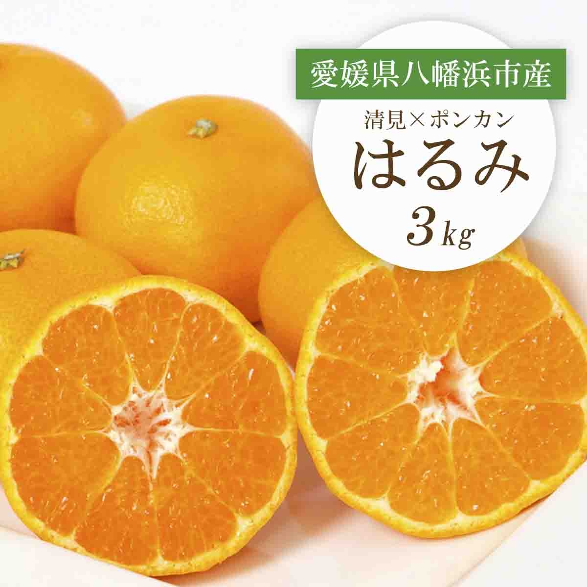 
                  【先行受付】愛媛県八幡浜市産 はるみ3kg＜C25-208＞【1612537】 YWTAP149
                