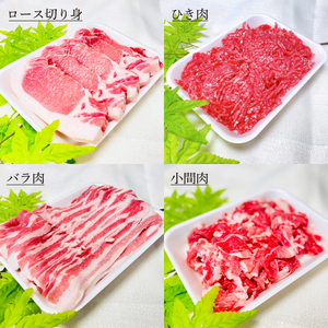 【6ヵ月定期便】 豚肉 かしまし豚 4種の詰め合わせ×6回 国産 豚肉