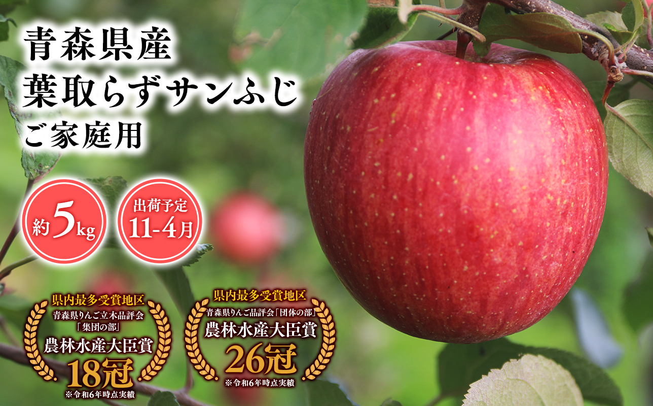 2025年産１１月～５月発送　【訳あり】家庭用葉とらずサンふじ5kg【青森県 平川市 そと川りんご園】１１月～４月発送 家庭用 青森 青森県産 平川 りんご リンゴ 林檎 くだもの 果物 フルーツ 葉とらず サンふじ ふじ