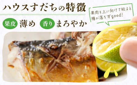 ハウスすだち 2kg すだち