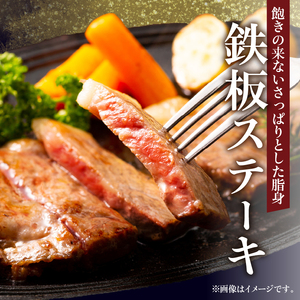 ＜全3回・連続＞浜中牛づくし定期便_H0019-006