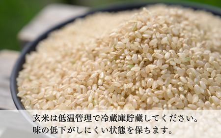 石川県産 げんき米 コシヒカリ （玄米20kg）  玄米 玄米 玄米 玄米 玄米 玄米  