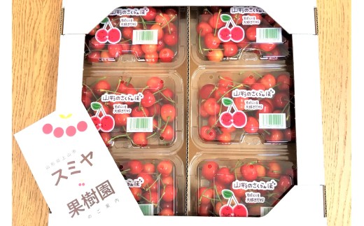 さくらんぼ（佐藤錦）１.２ｋｇ　ご家庭用　0047-2602