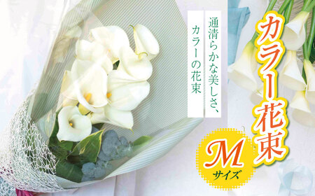 【 先行予約 】 カラー 花束 М サイズ  | 白い カラー  シンプル 結婚式 ブーケ 装飾 贈り物 贈答 ギフト 自宅 オフィス インテリア オススメ 千葉県 君津市 きみつ