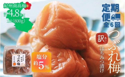 【定期便全6回】【塩分約5％】和歌山県紀州南高梅つぶれ  はちみつ漬け　訳あり 800g　agrjpn-tkb014