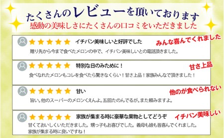 【定期便×3回】クラウンメロン 特上（山）1.5kg以上 1玉 果物類 メロン青肉 フルーツ 3か月 