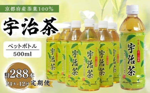 【12回定期便】 京都産 宇治茶 ペットボトル 500 ml × 24本 京都府産 京都産 お茶 茶 京都 宇治 宇治茶  緑茶 ペットボトル 500 24本 常温 煎茶 かぶせ茶 熱中症対策 熱中症予防 熱中症 備蓄 夏 京都府