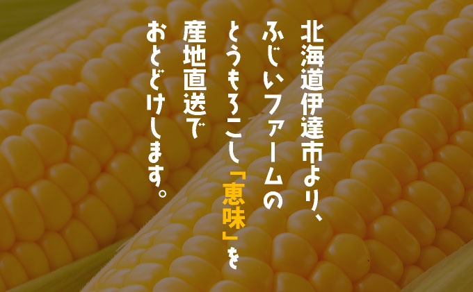 北海道産 とうもろこし 恵味 20本 Lサイズ トウモロコシ とうきび コーン スイートコーン 先行受付 新鮮 朝採り 産地直送 国産 野菜 農作物 甘い めぐみ 人気 BBQ ふじいファーム  送料無料