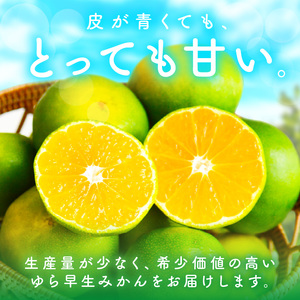 糖度抜群！ゆら早生（みかん）5kg≪先行予約≫【0162-3】