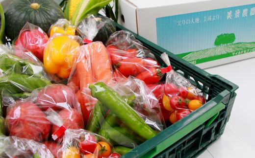 
            【先行予約】夏野菜セット <令和7年産 >美景農園 [015-103]
          