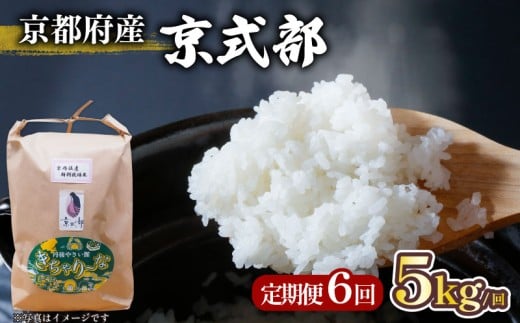 【令和7年産 】 定期便 全6回 京都府産 京式部 5kg (お米 2キロ 米 こめ 白米 国産 ブランド米 取り寄せ 京都 ごはん 6か月 6ヶ月 2025年産 JA JA京都 京都府産 京都府 コシヒカリを基準米としたお米