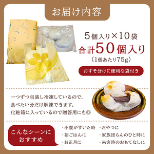 杵つき餅と自慢のあんこの「あんびん（こし餡）」50個（5個入り袋×10袋） mi0002-0005