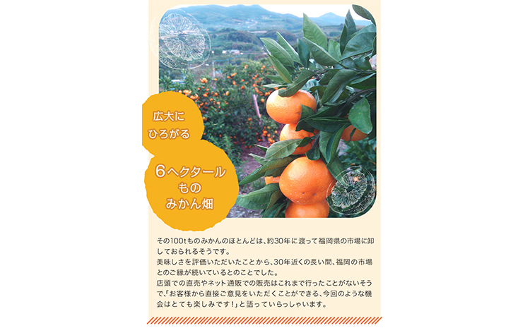 ジューシーで甘い♪『松田農園』のみかんたっぷり約5kg (S-2Lサイズ) 《11月上旬-1月下旬頃出荷》 予約受付中 フルーツ 秋 旬 熊本県 玉名郡玉東町『松田農園』手間暇かけたこだわりのミカンs