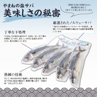 ふるさと納税 鳥取市 塩サバ 5本セット |  | 01
