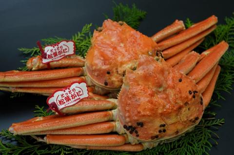 89．【先行予約】鳥取県産　タグ付き浜茹で松葉がに　700ｇ以上×2枚