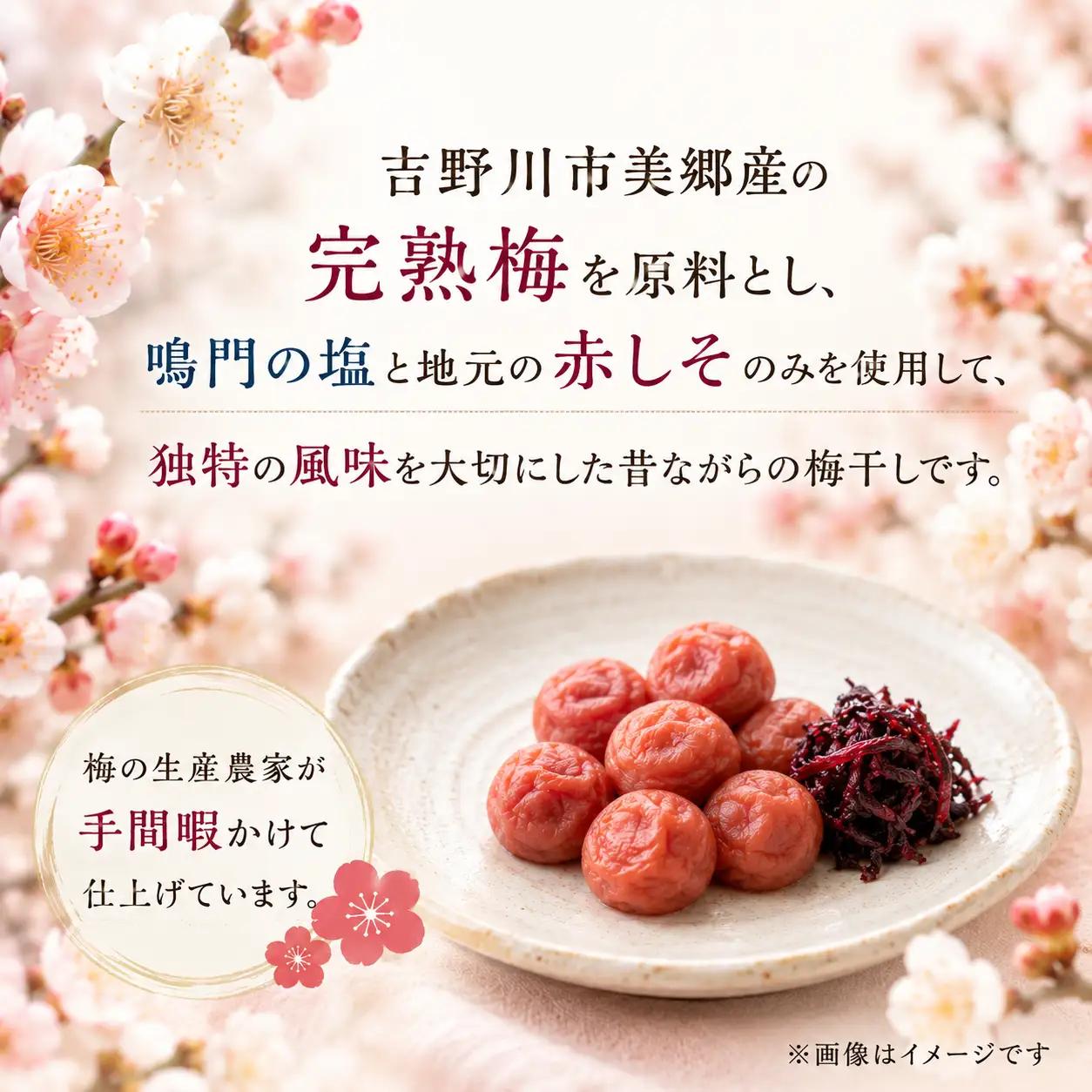 先行予約 美郷の小梅干1kg