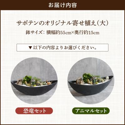 ふるさと納税 小牧市 サボテンのオリジナル寄せ植え(大)【アニマルセット】(観葉植物・多肉植物)[133O04-02] |  | 03